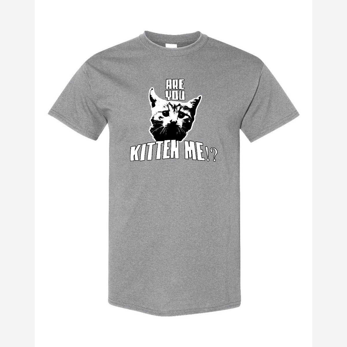 Are You Kitten Me — Classic Tee / Sport Grey
