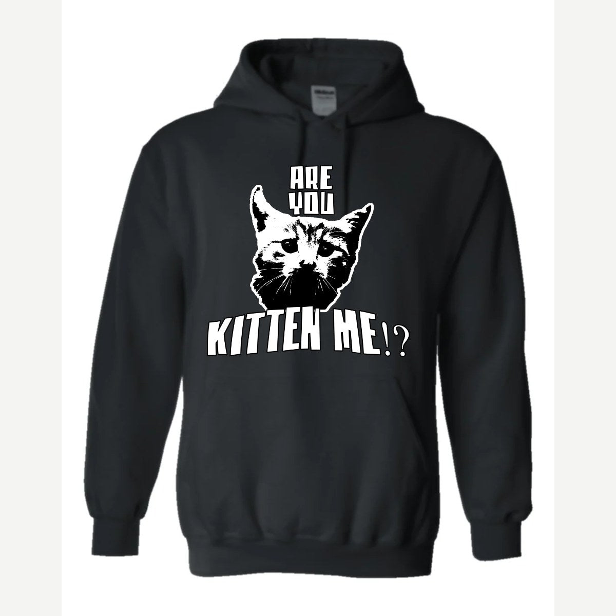 Are You Kitten Me — Hoodie / Black