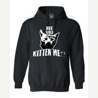 Are You Kitten Me — Hoodie / Black
