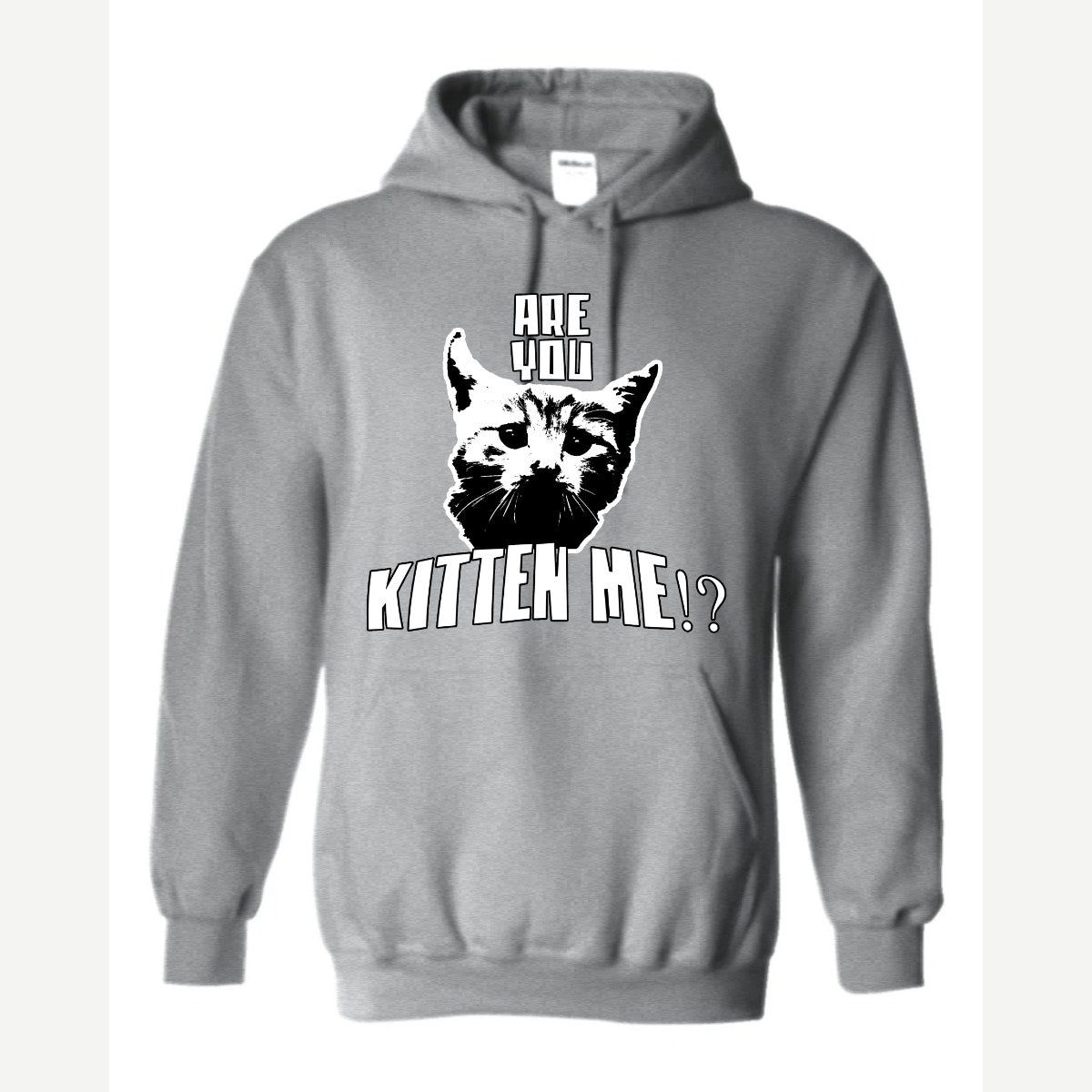 Are You Kitten Me — Hoodie / Sport Grey