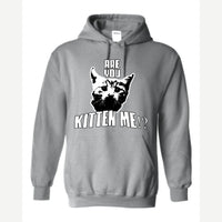 Are You Kitten Me — Hoodie / Sport Grey