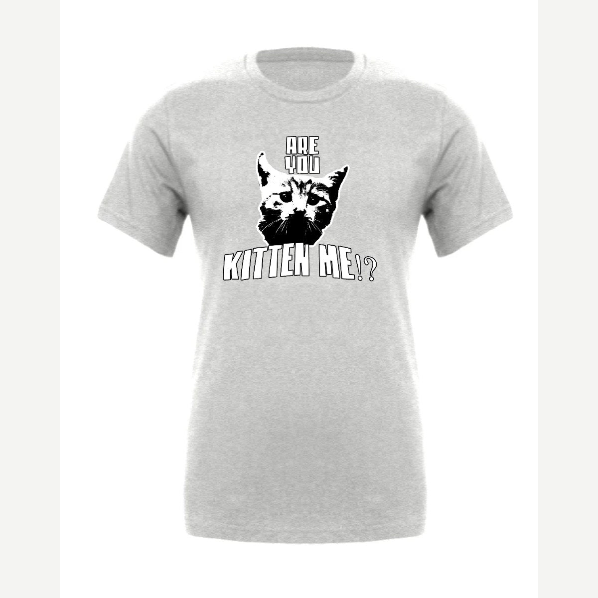 Are You Kitten Me — Premium Tee / Athletic Heather