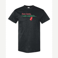 Dear Santa, I Can Explain — Classic Tee / Black
