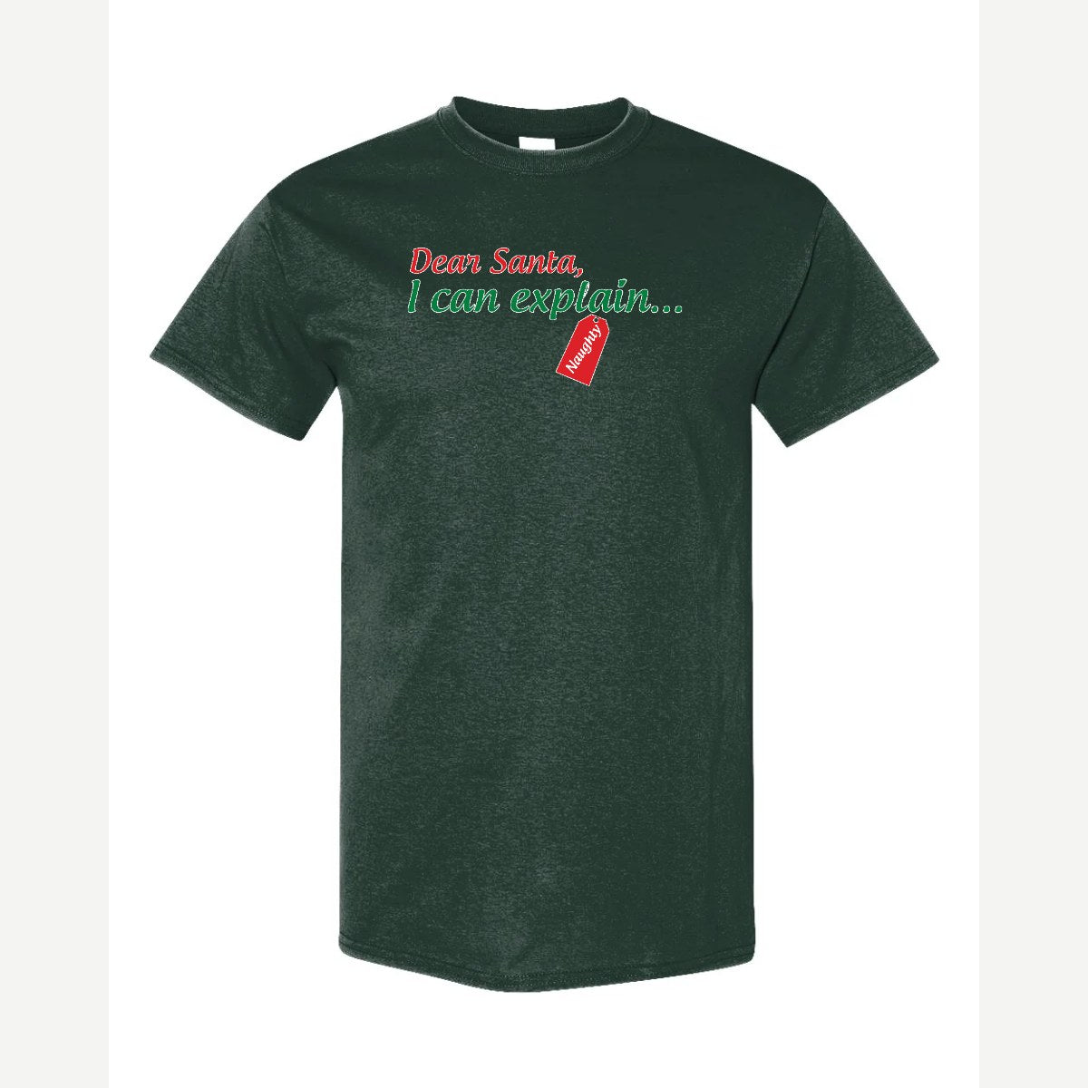 Dear Santa, I Can Explain — Classic Tee / Forest Green