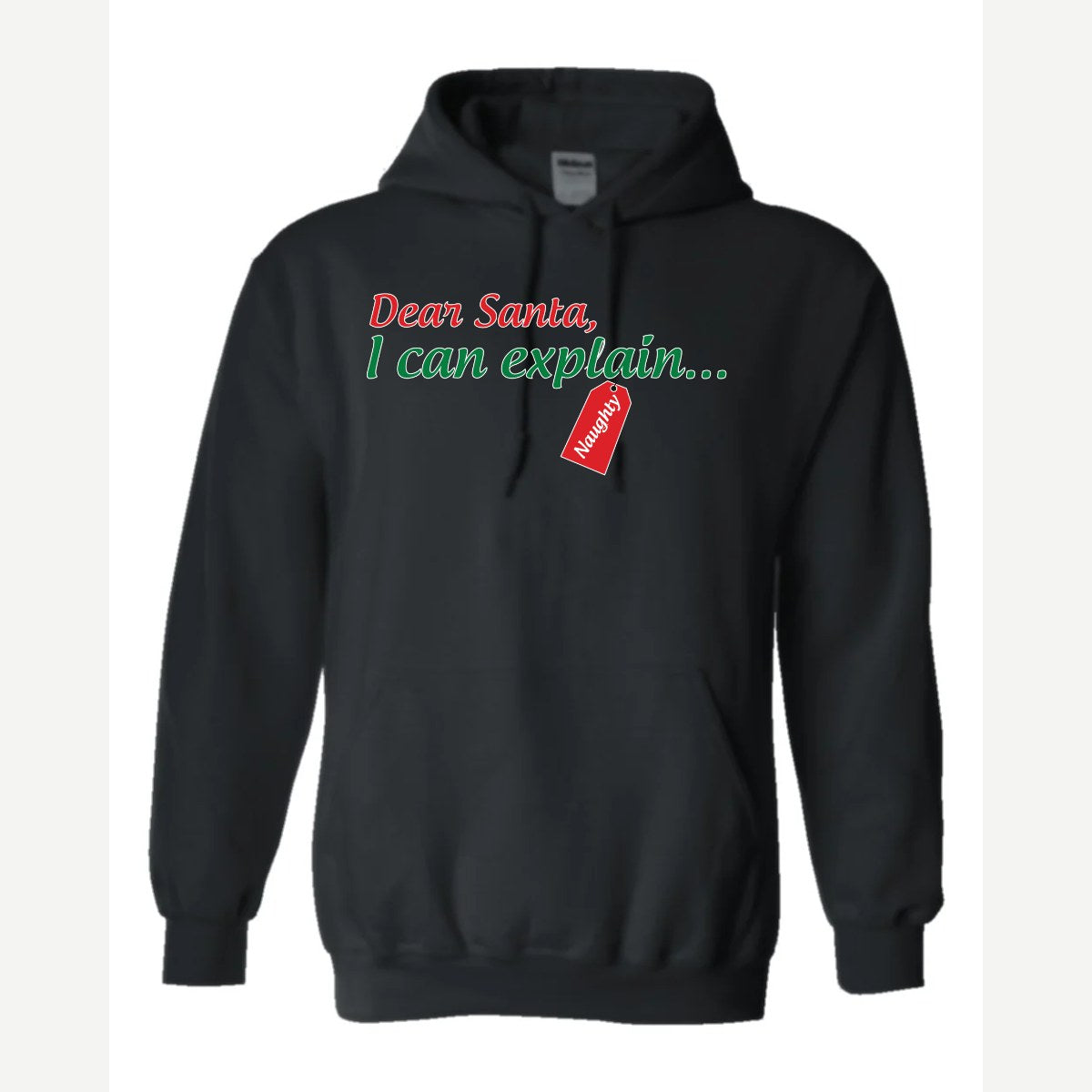 Dear Santa, I Can Explain — Hoodie / Black