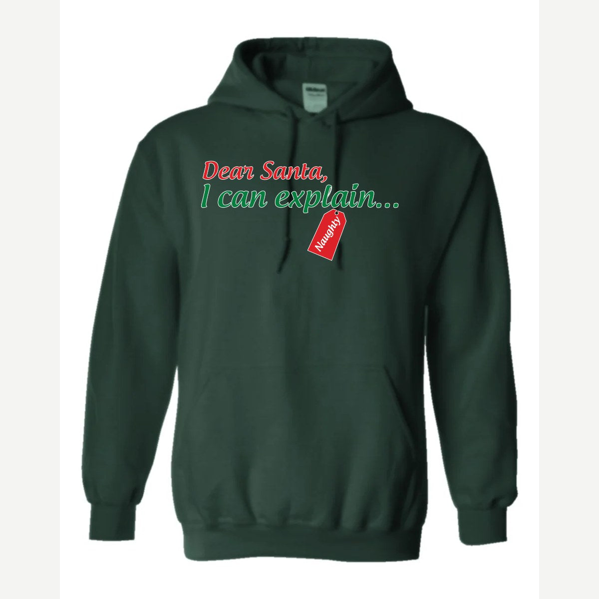 Dear Santa, I Can Explain — Hoodie / Forest Green