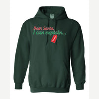 Dear Santa, I Can Explain — Hoodie / Forest Green