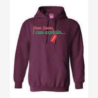 Dear Santa, I Can Explain — Hoodie / Maroon