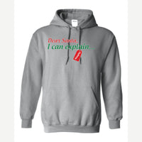 Dear Santa, I Can Explain — Hoodie / Sport Grey