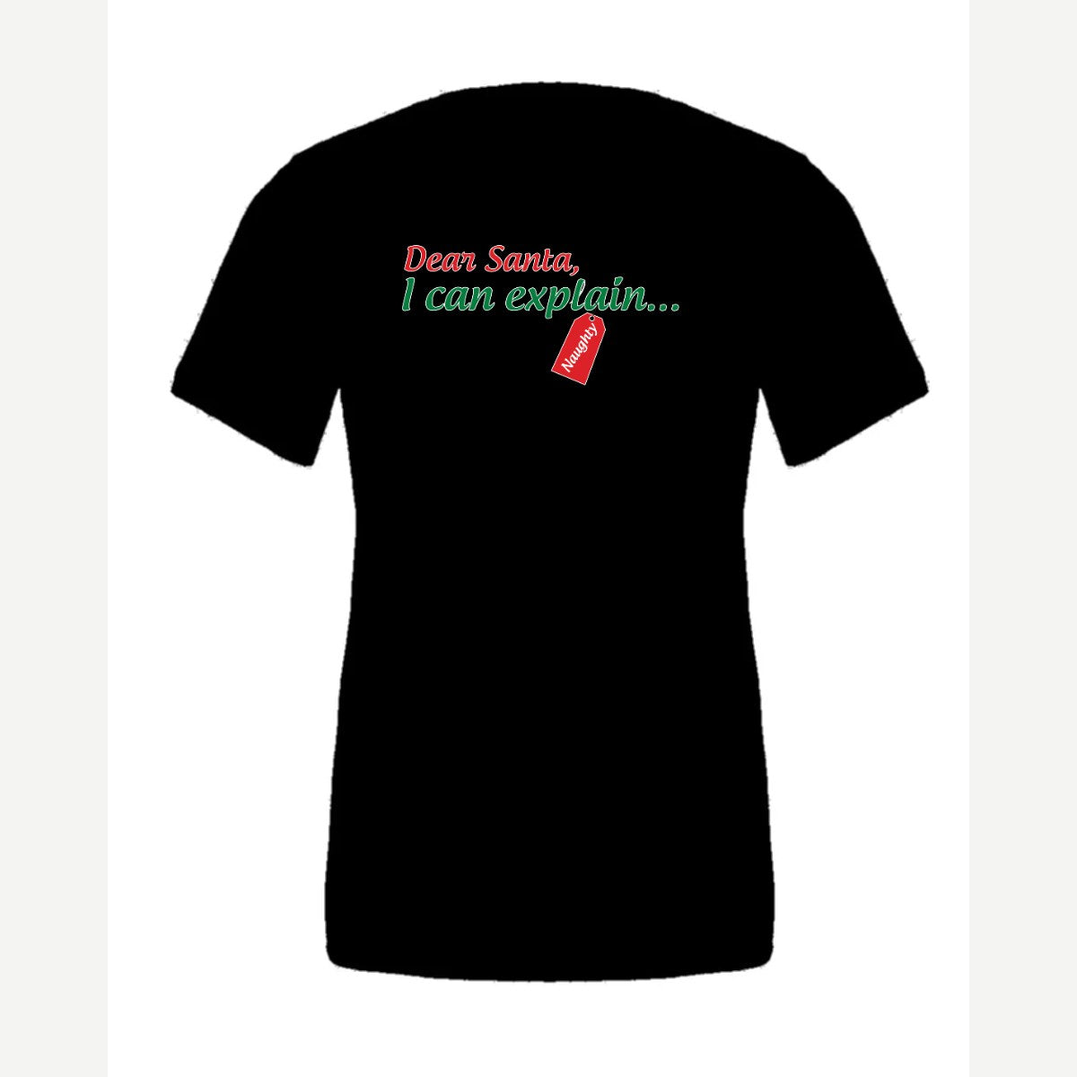 Dear Santa, I Can Explain — Premium Tee / Black
