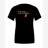 Dear Santa, I Can Explain — Premium Tee / Black