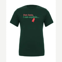 Dear Santa, I Can Explain — Premium Tee / Forest
