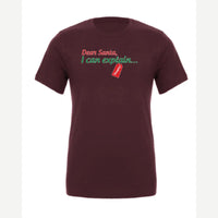 Dear Santa, I Can Explain — Premium Tee / Maroon