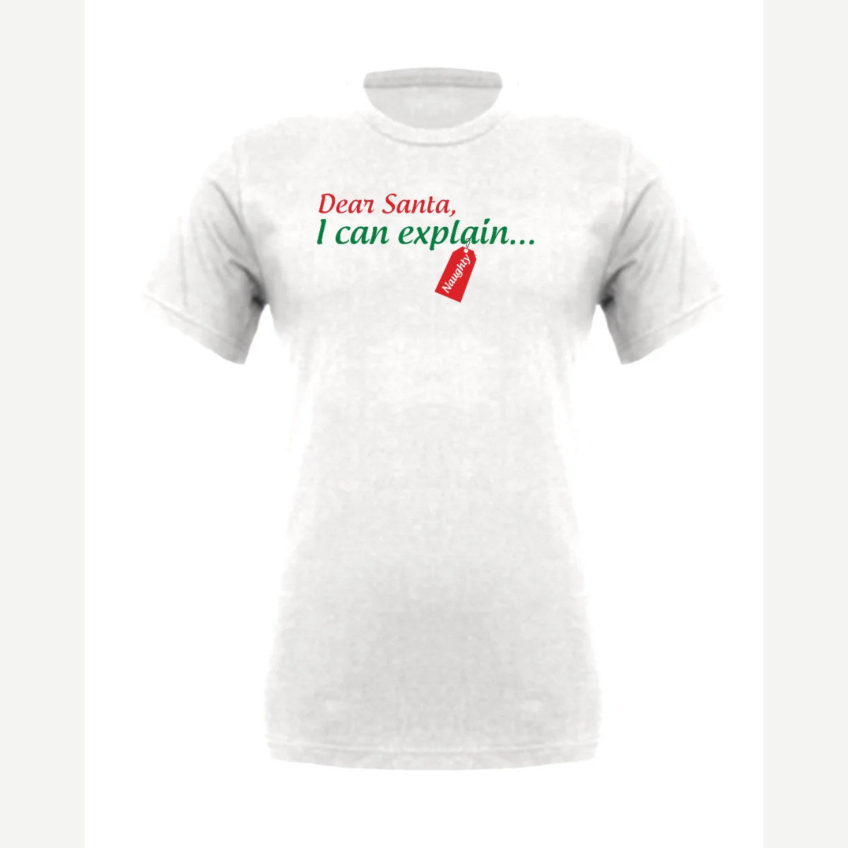Dear Santa, I Can Explain — Premium Tee / White
