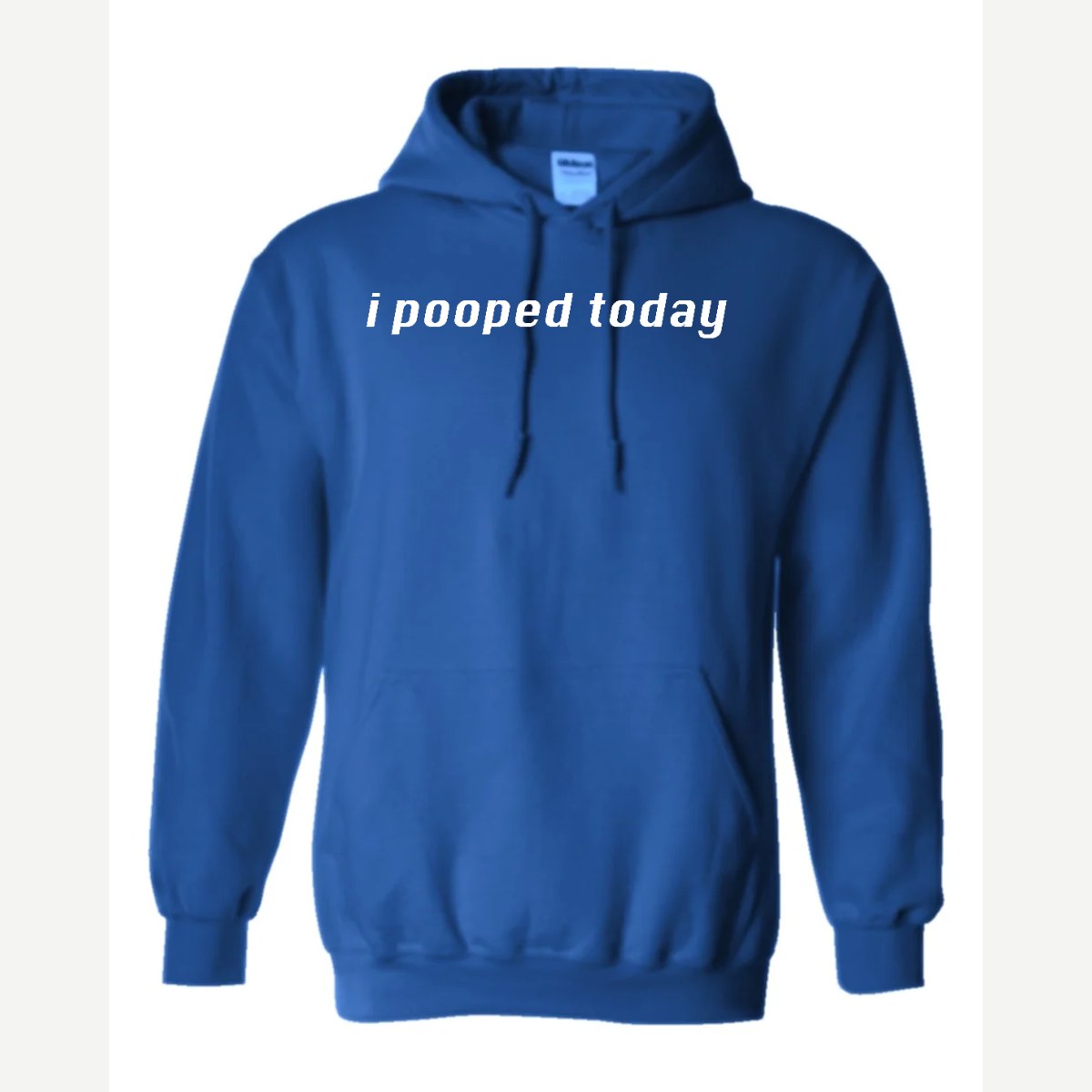 I Pooped Today — Hoodie / Royal