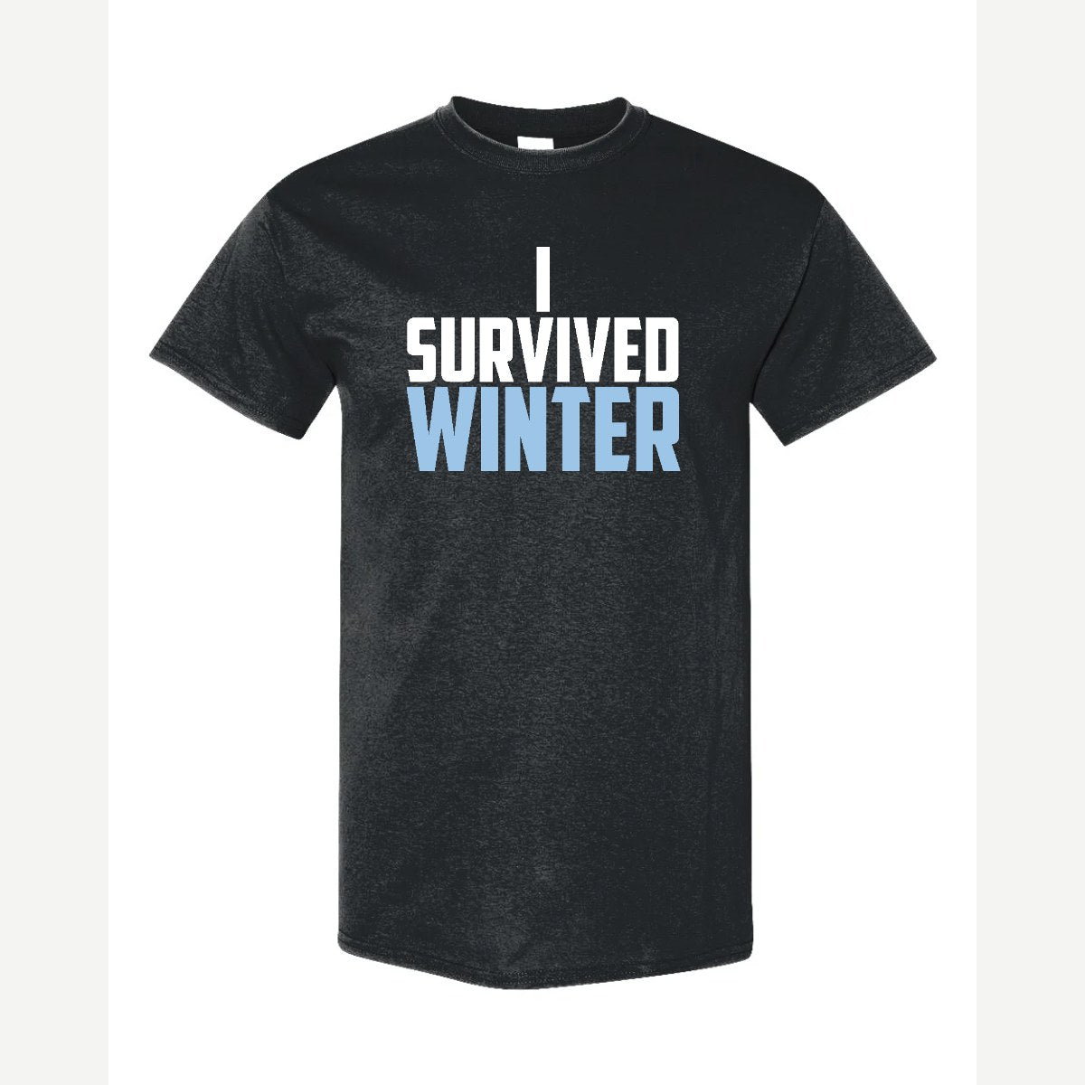 I Survived Winter — Classic Tee / Black