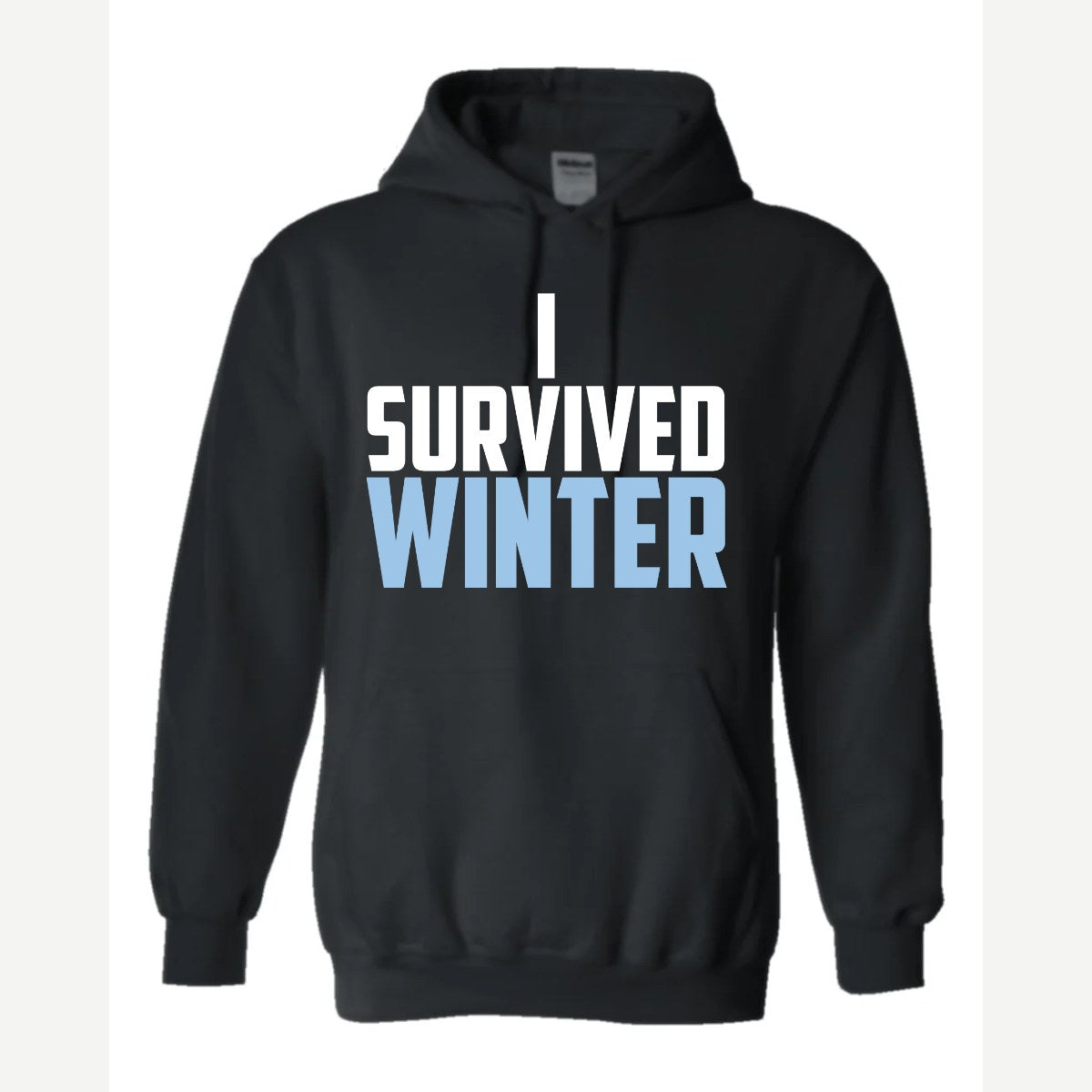 I Survived Winter — Hoodie / Black