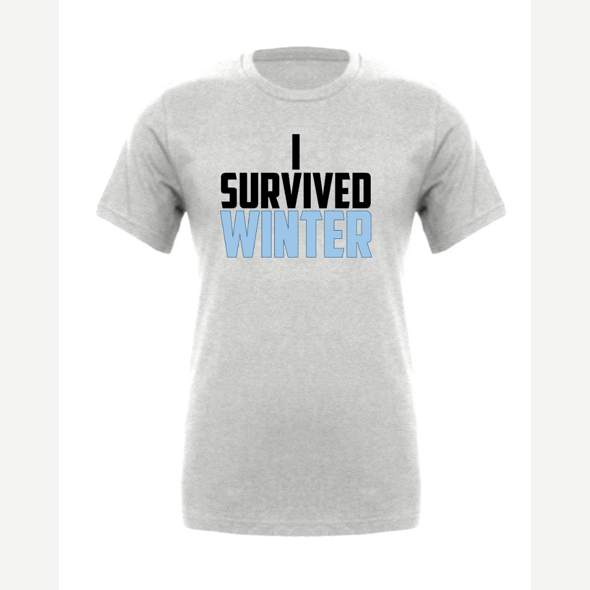 I Survived Winter — Premium Tee / Athletic Heather