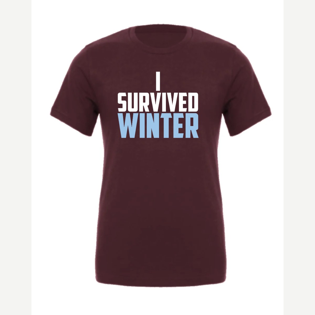 I Survived Winter — Premium Tee / Maroon