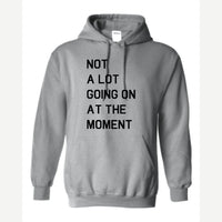Not a Lot Going On at the Moment — Hoodie / Sport Grey