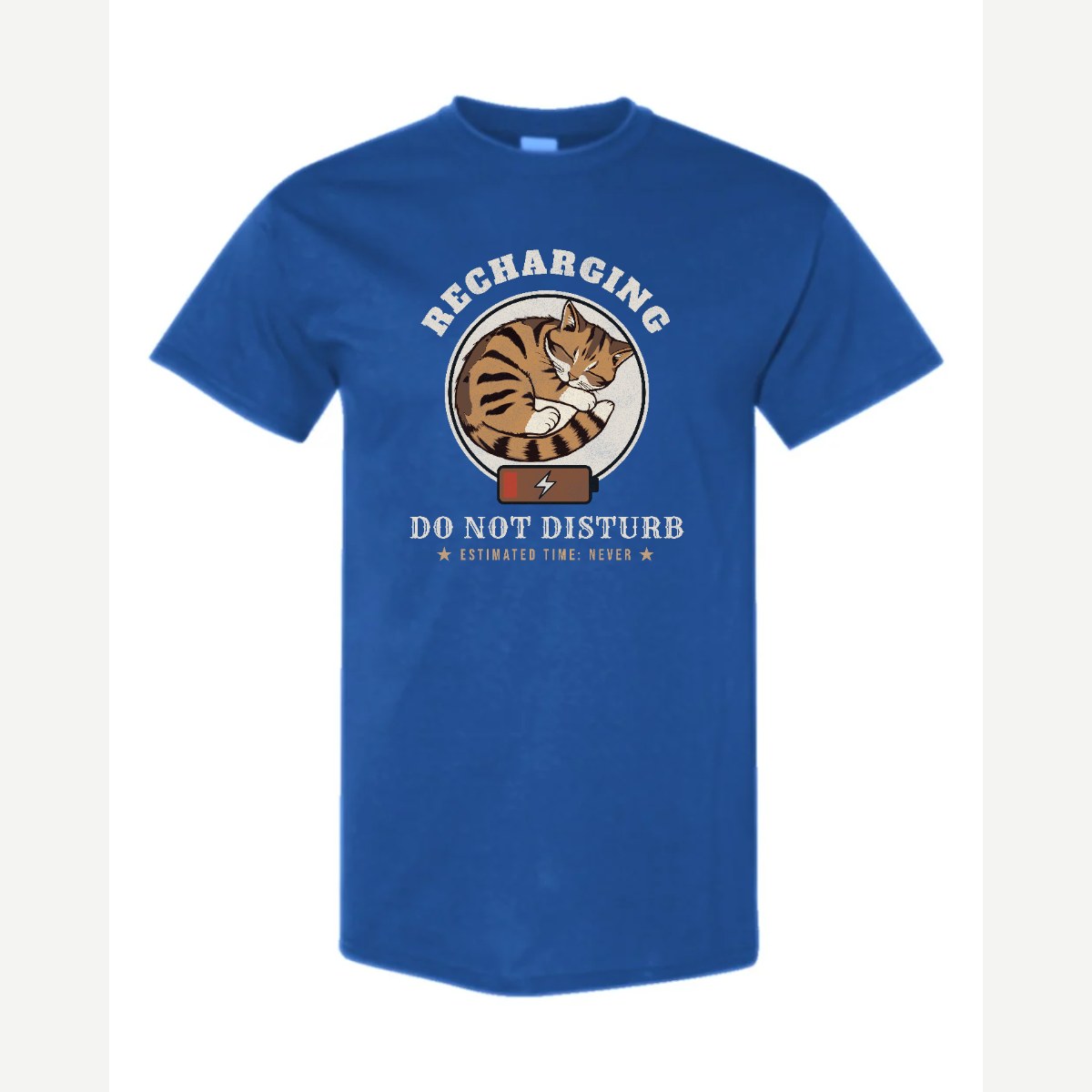 Recharging Do Not Disturb Cat — Classic Tee / Royal