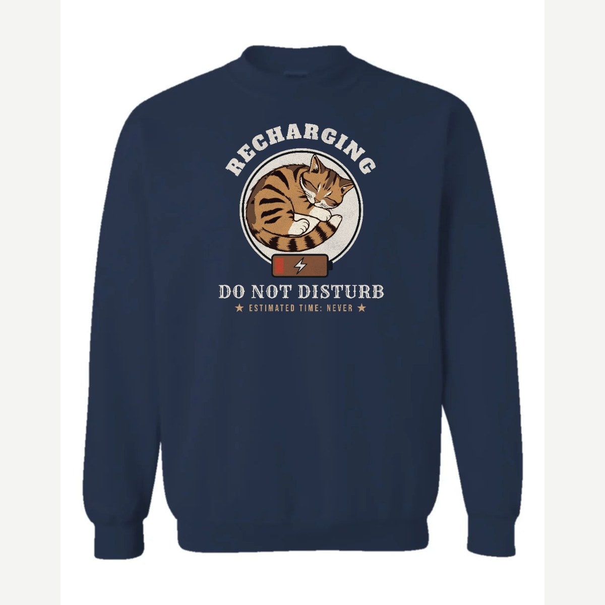 Recharging Do Not Disturb Cat — Crewneck Sweatshirt / Navy