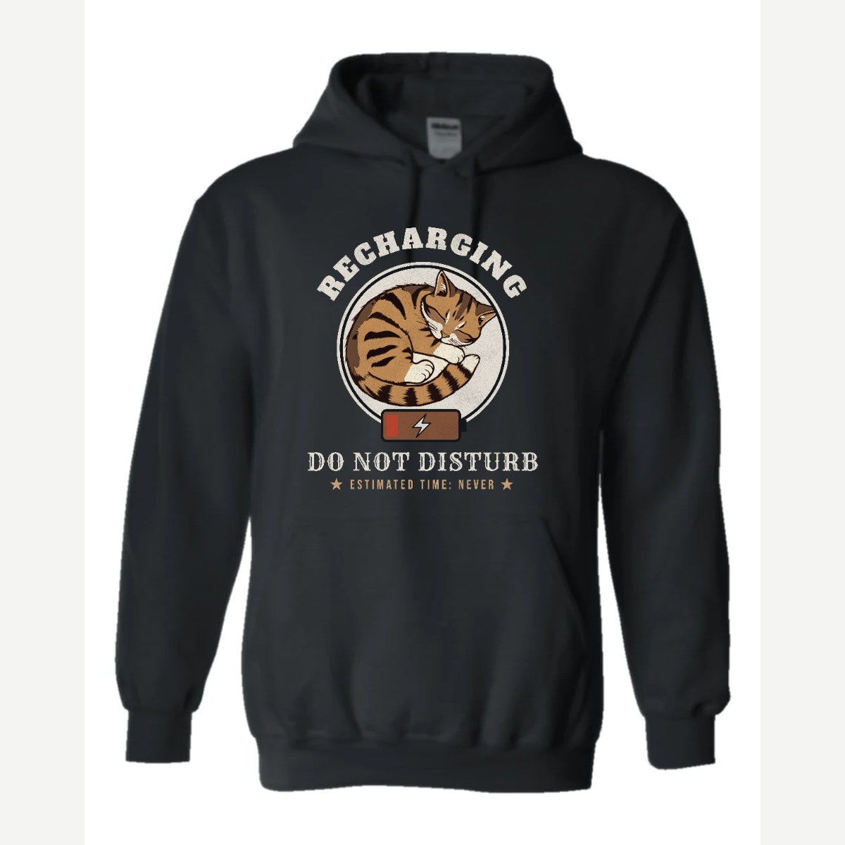 Recharging Do Not Disturb Cat — Hoodie / Black