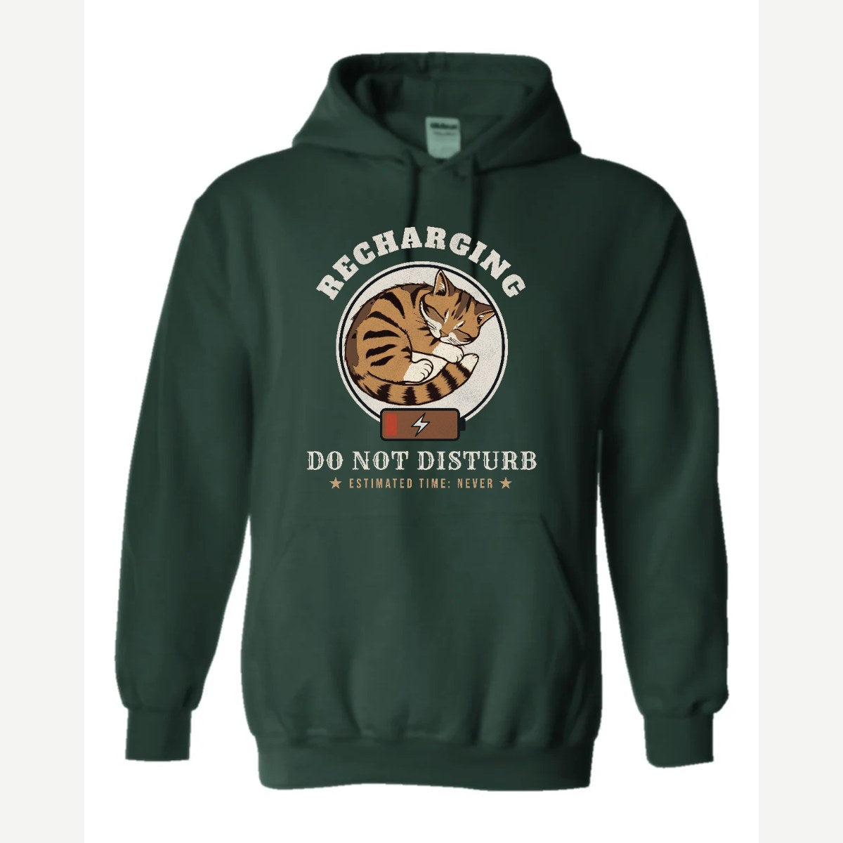 Recharging Do Not Disturb Cat — Hoodie / Forest Green