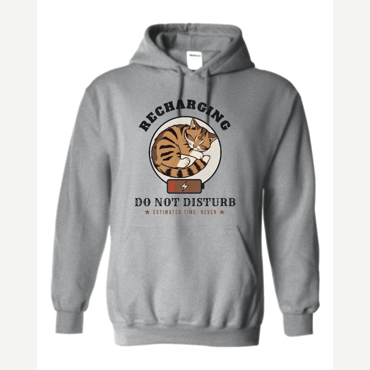 Recharging Do Not Disturb Cat — Hoodie / Sport Grey