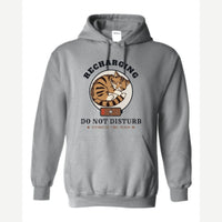 Recharging Do Not Disturb Cat — Hoodie / Sport Grey